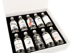 Gin Box World Tour 10×0,05l 42,9%