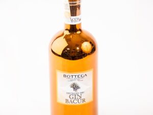 Bottega Bacur Gin 40% 1 l (holá láhev)
