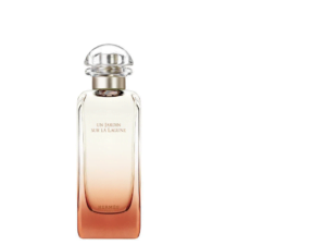 Hermès Un Jardin Sur La Lagune toaletní voda unisex 100 ml