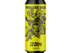 MICHLER SMASH Ale Citra 13° 5% 0