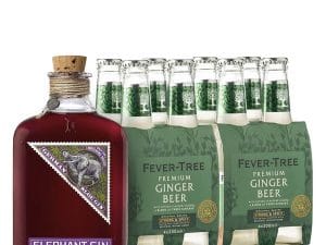 Elephant Gin & Ginger 45,0% 2,1 l - investiční alkohol
